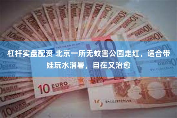 杠杆实盘配资 北京一所无蚊害公园走红，适合带娃玩水消暑，自在又治愈
