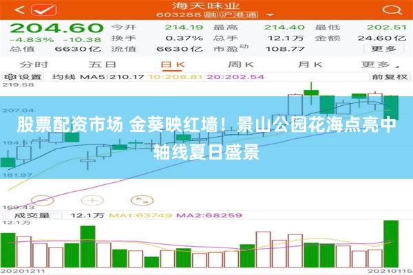 股票配资市场 金葵映红墙！景山公园花海点亮中轴线夏日盛景
