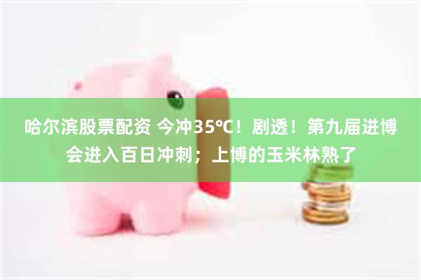 哈尔滨股票配资 今冲35℃！剧透！第九届进博会进入百日冲刺；上博的玉米林熟了