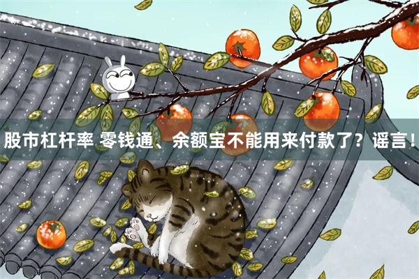 股市杠杆率 零钱通、余额宝不能用来付款了？谣言！