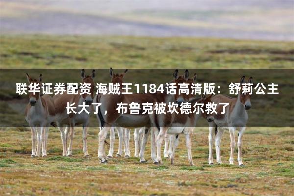 联华证券配资 海贼王1184话高清版：舒莉公主长大了，布鲁克被坎德尔救了