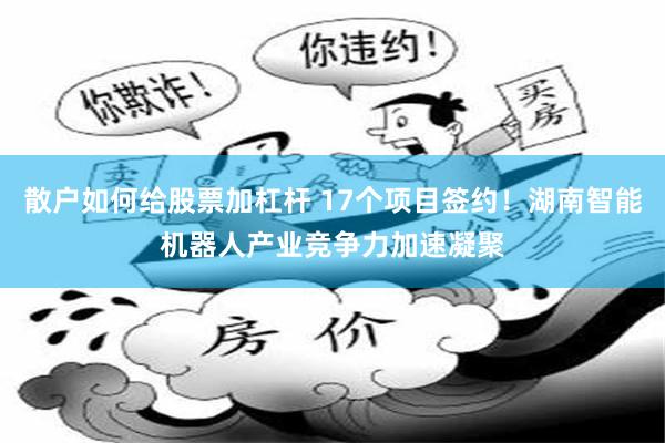 散户如何给股票加杠杆 17个项目签约！湖南智能机器人产业竞争力加速凝聚